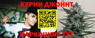 индика Заводоуковск