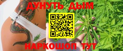 индика Заводоуковск