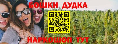 индика Заводоуковск